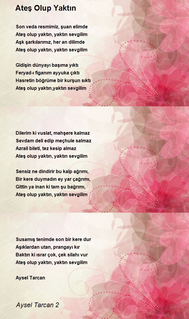 Aysel Tarcan 2