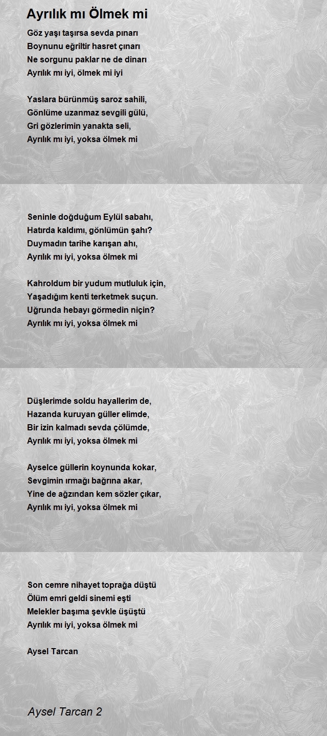 Aysel Tarcan 2