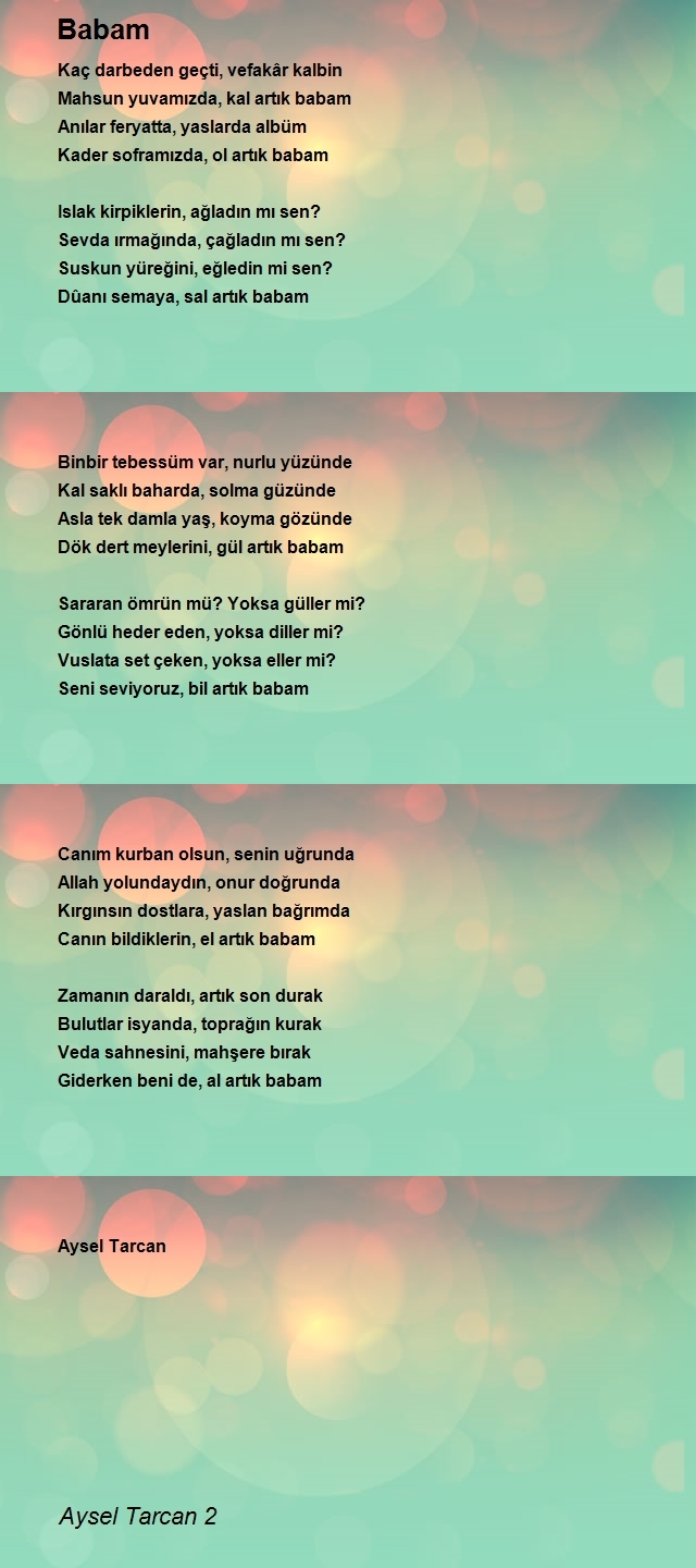 Aysel Tarcan 2