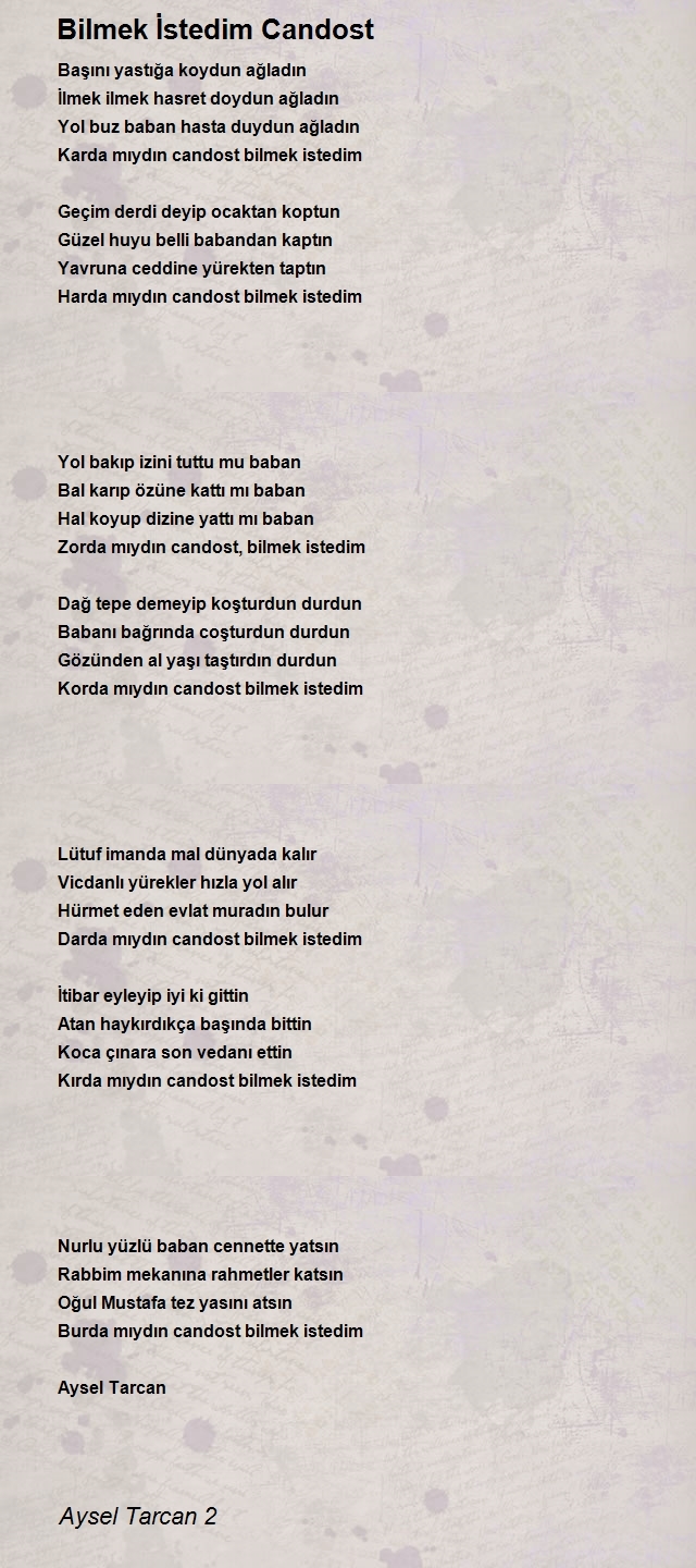 Aysel Tarcan 2