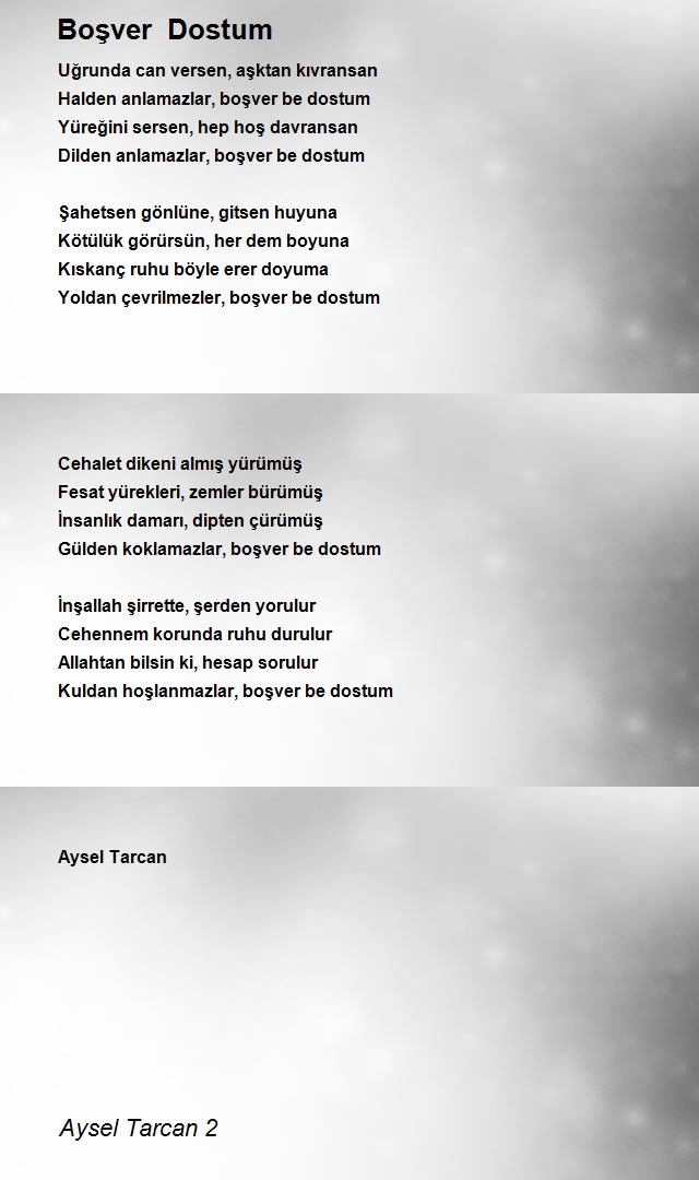 Aysel Tarcan 2