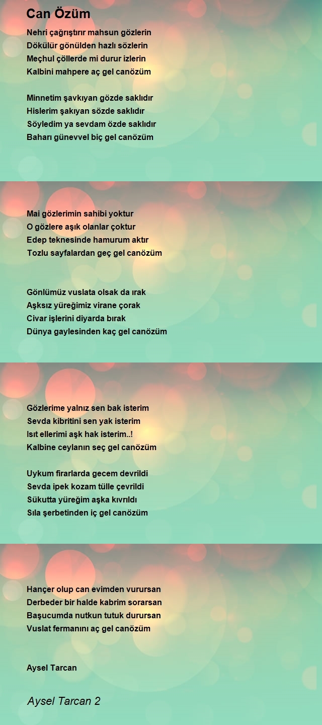 Aysel Tarcan 2