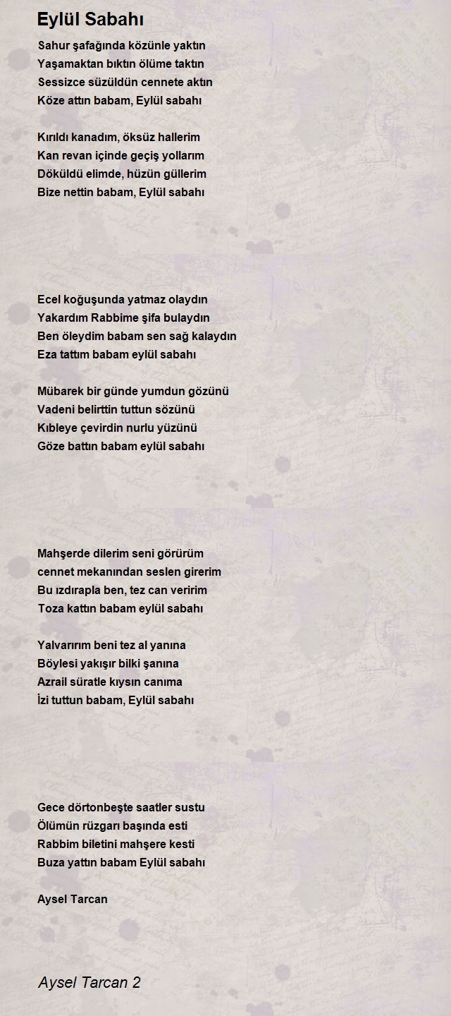 Aysel Tarcan 2