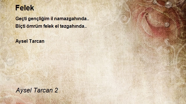 Aysel Tarcan 2