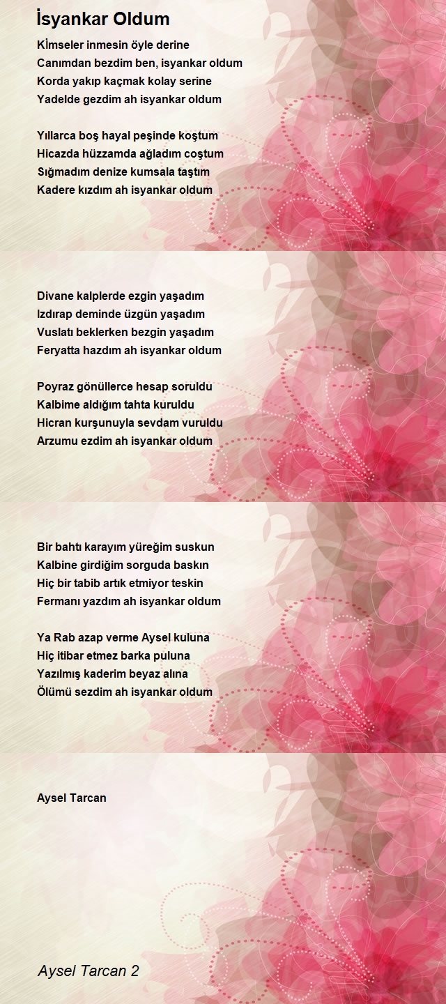 Aysel Tarcan 2