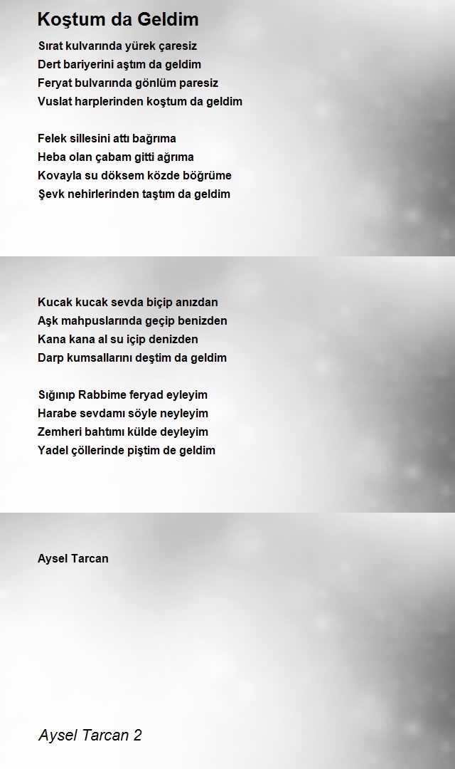 Aysel Tarcan 2