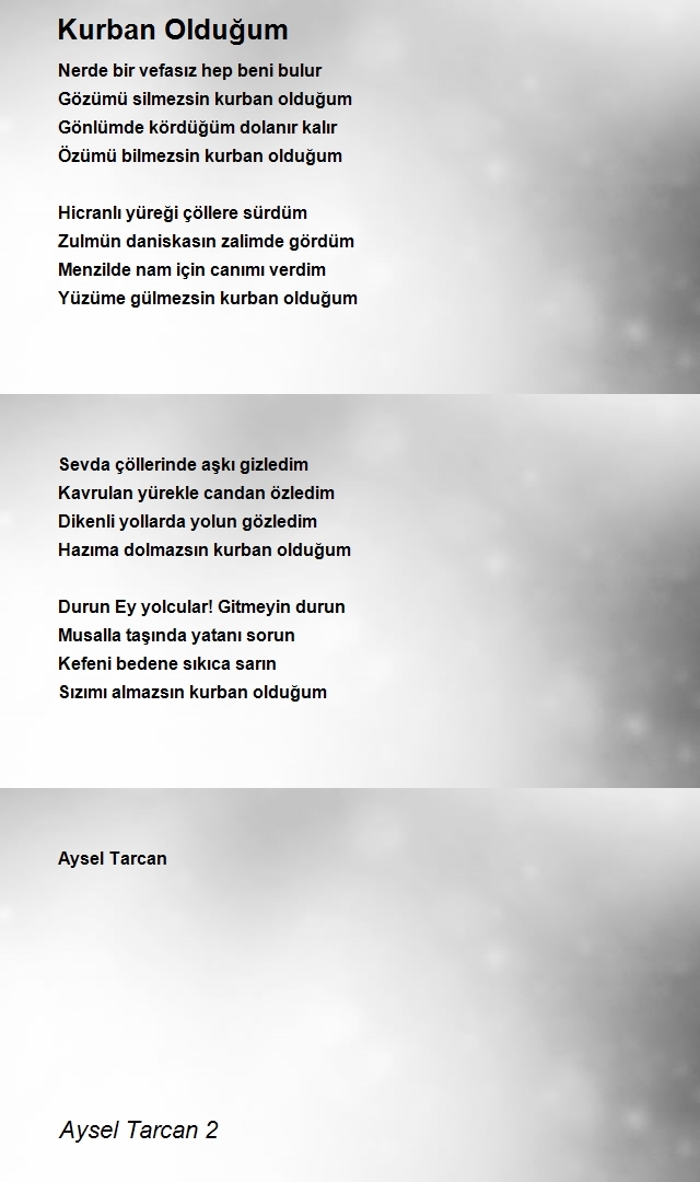 Aysel Tarcan 2