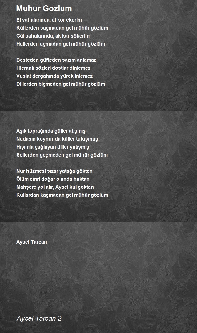 Aysel Tarcan 2