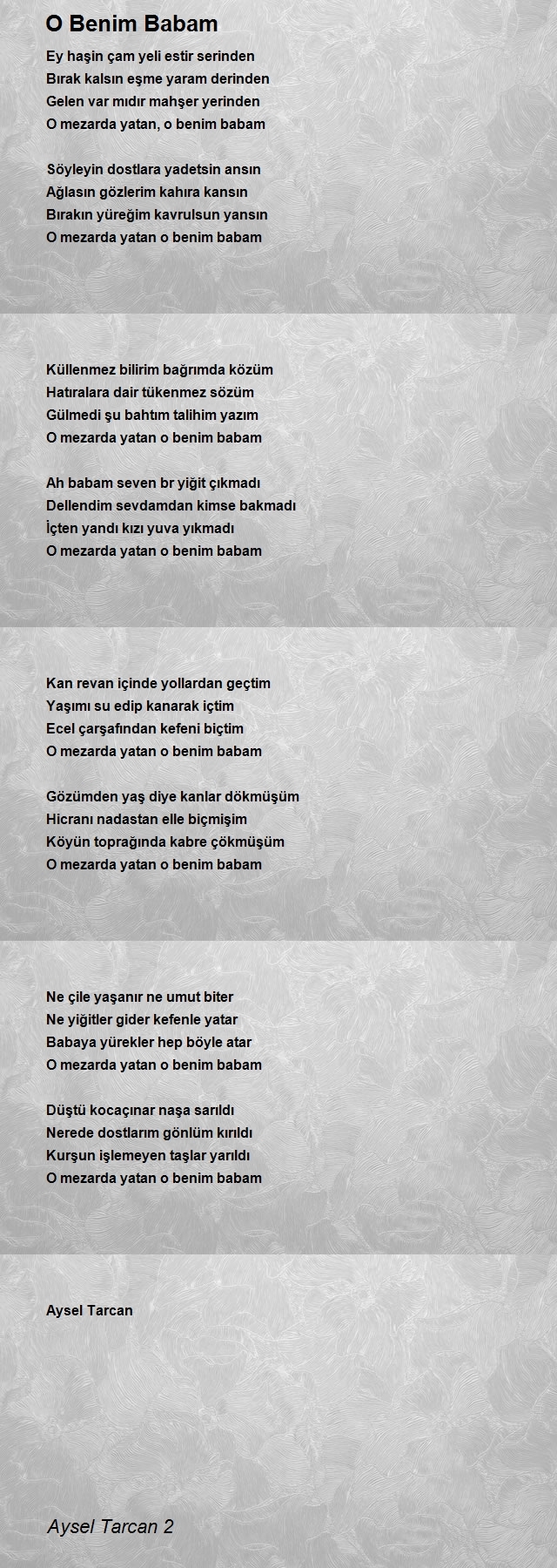 Aysel Tarcan 2