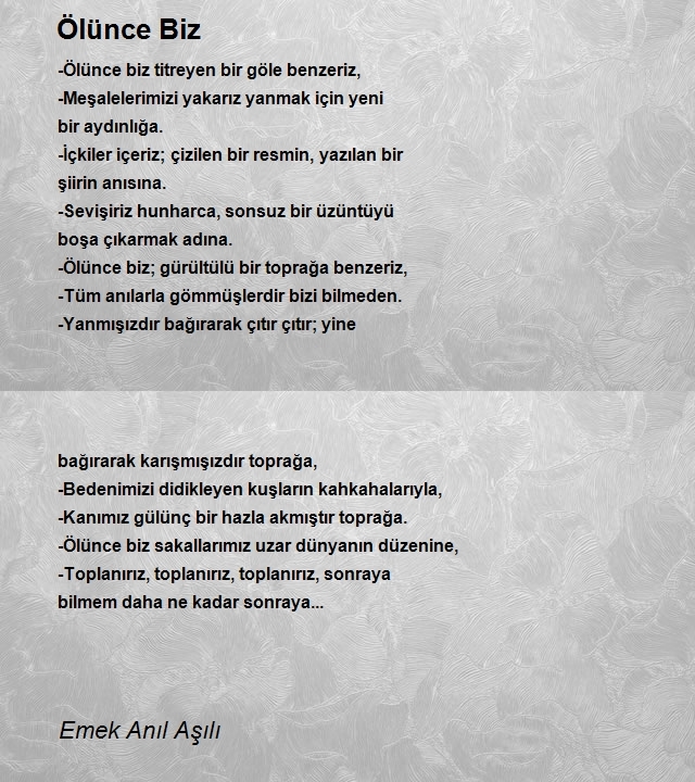 Emek Anıl Aşılı