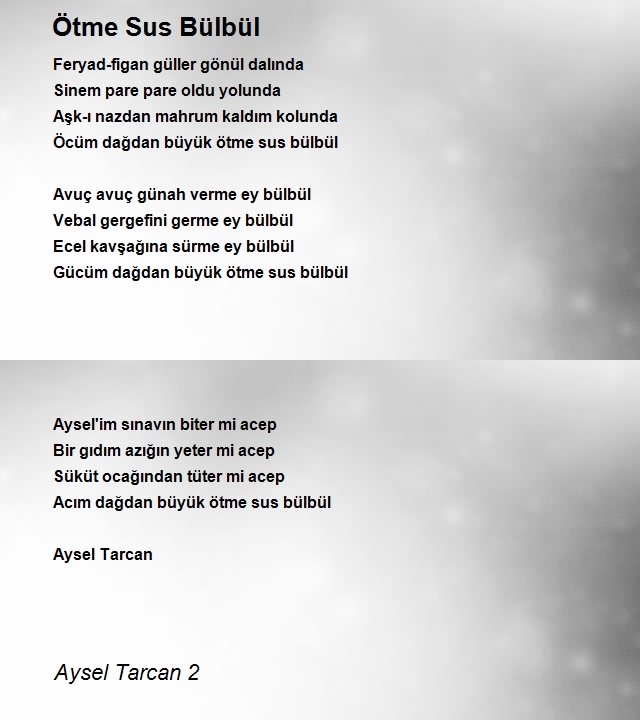 Aysel Tarcan 2