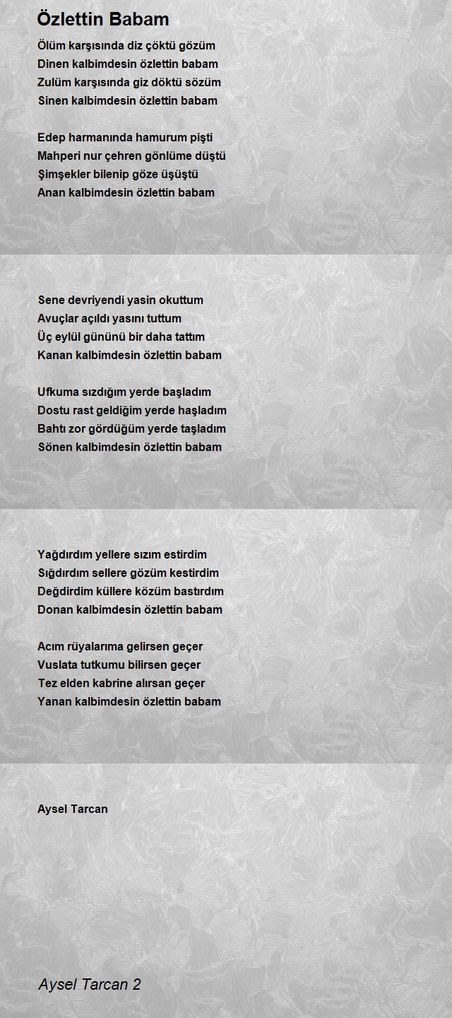 Aysel Tarcan 2