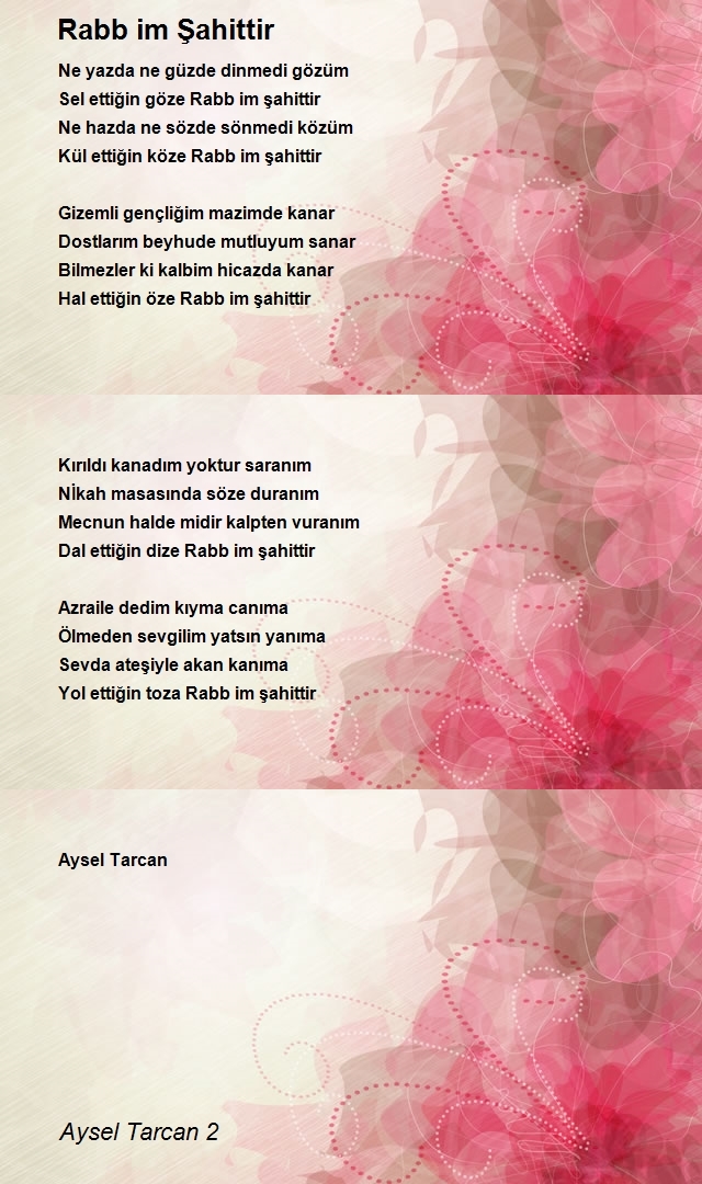 Aysel Tarcan 2