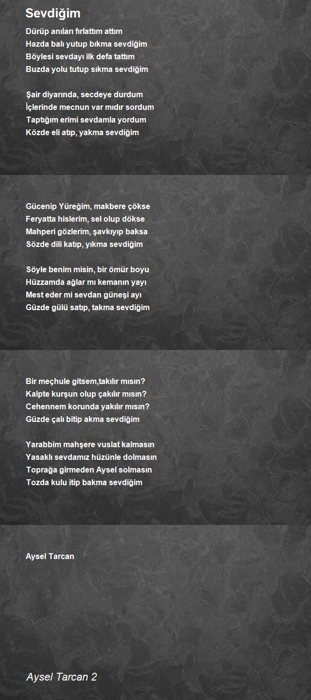 Aysel Tarcan 2