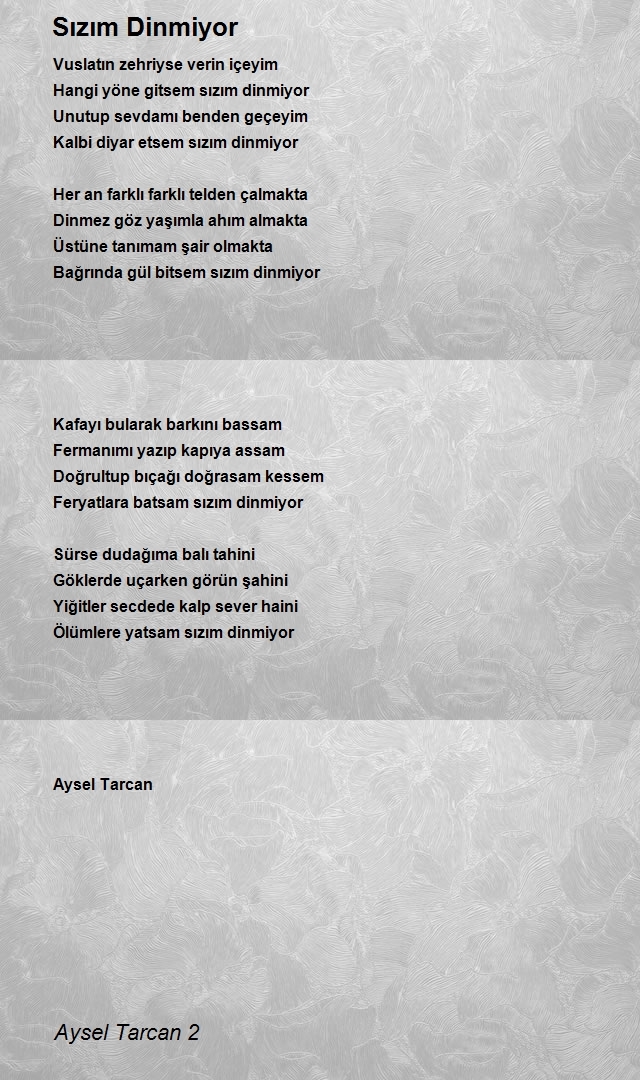 Aysel Tarcan 2