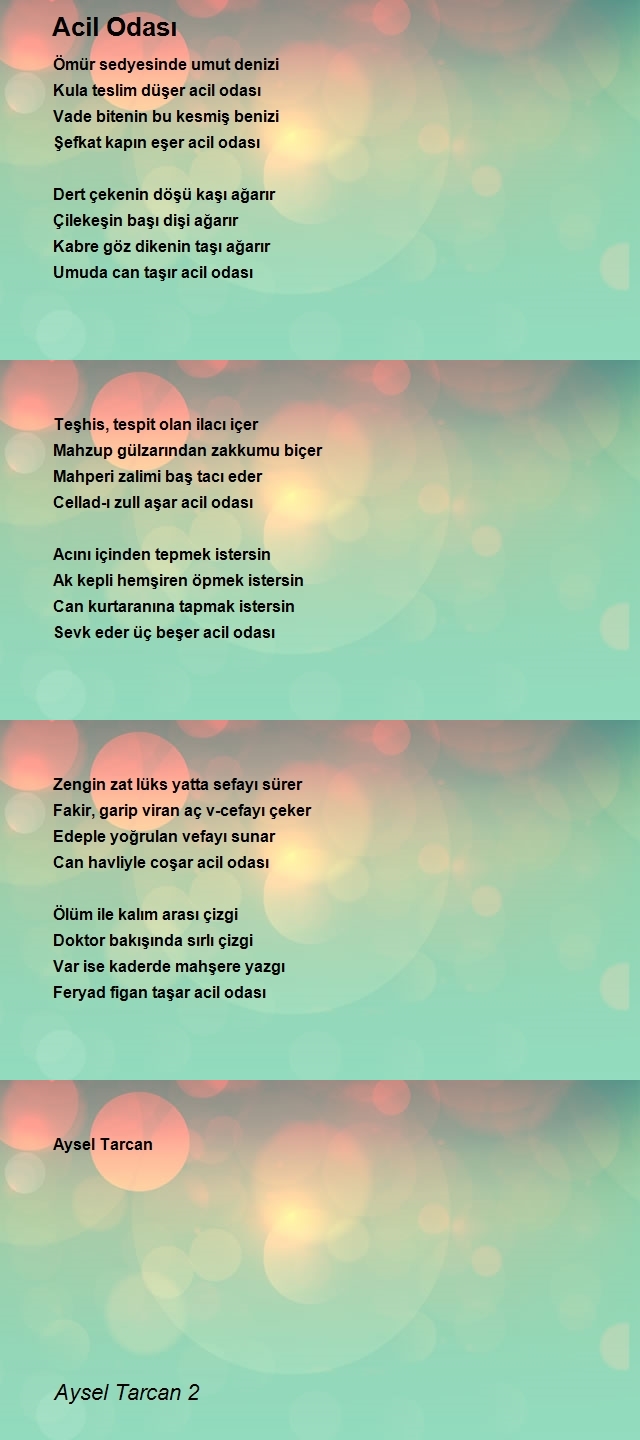 Aysel Tarcan 2