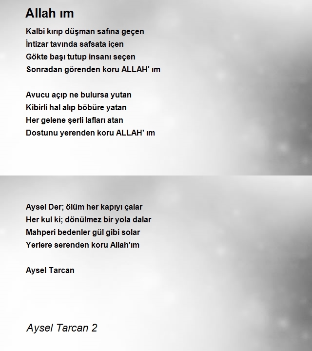 Aysel Tarcan 2