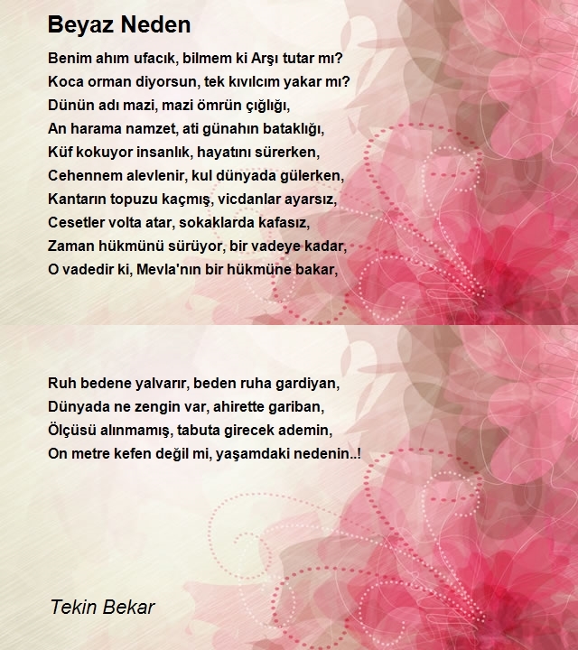 Tekin Bekar