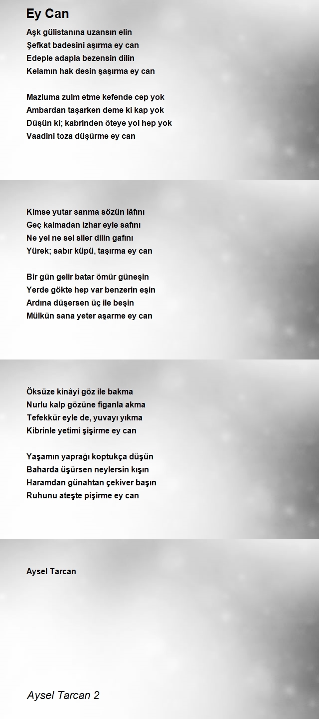 Aysel Tarcan 2