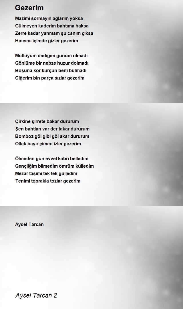 Aysel Tarcan 2