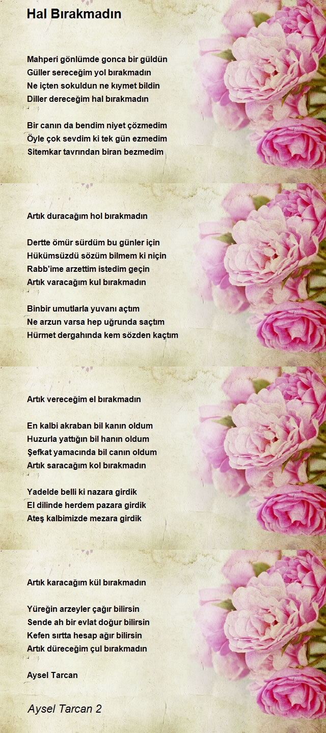 Aysel Tarcan 2