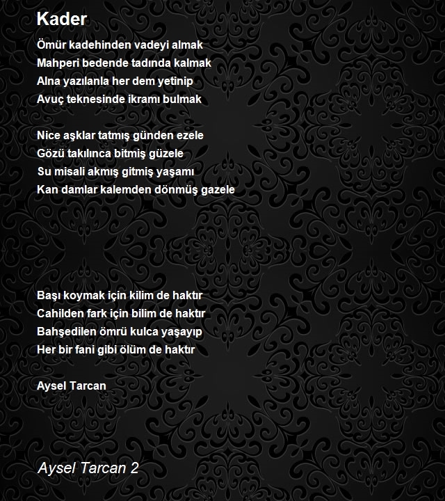 Aysel Tarcan 2