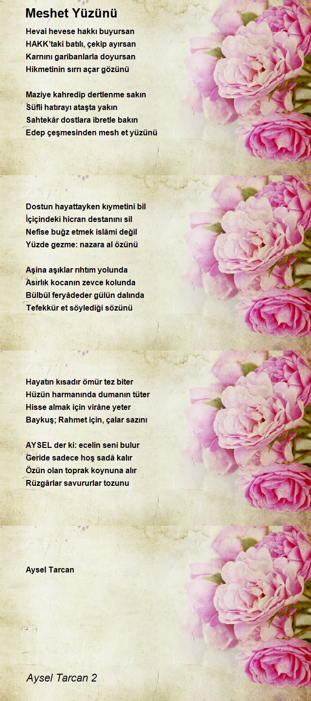 Aysel Tarcan 2