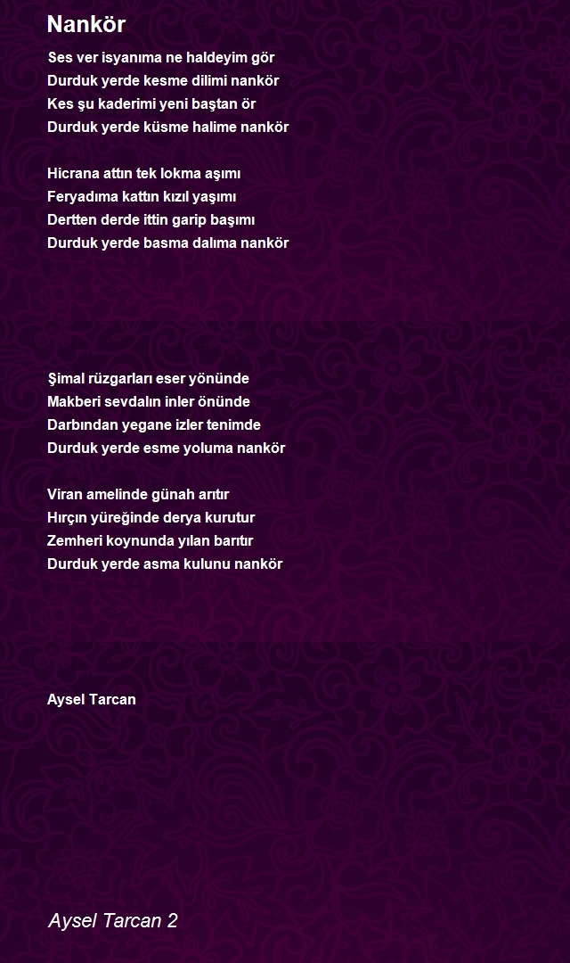 Aysel Tarcan 2