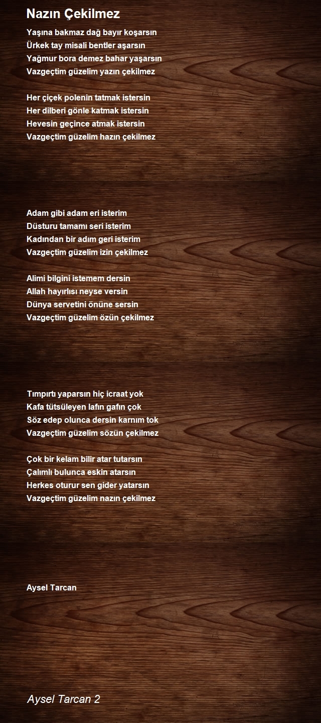 Aysel Tarcan 2