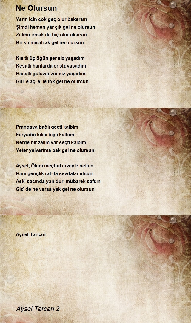 Aysel Tarcan 2