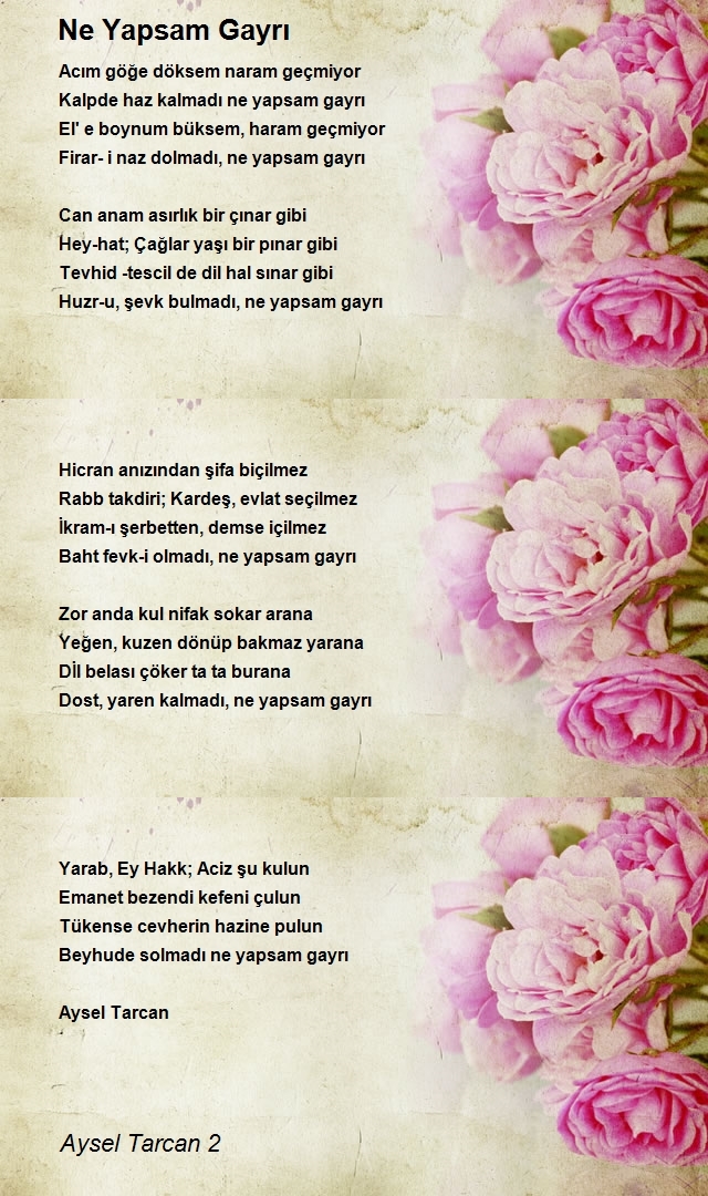 Aysel Tarcan 2