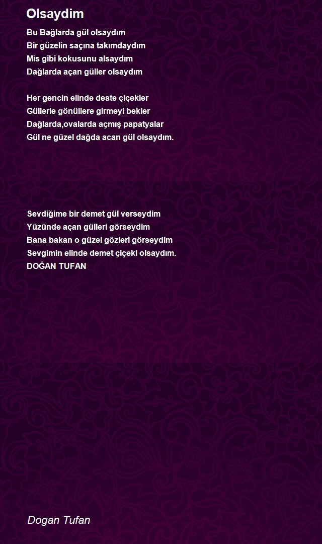 Dogan Tufan