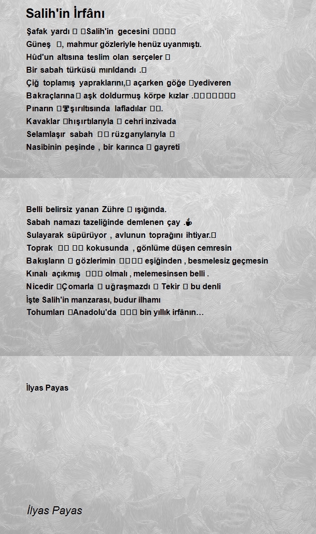 İlyas Payas