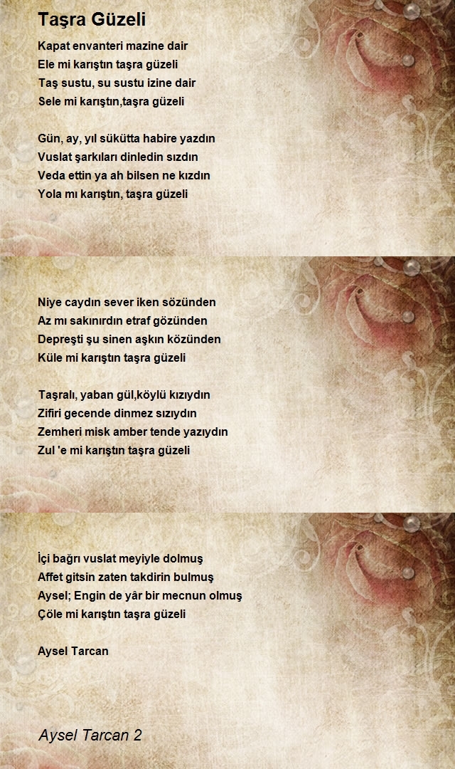 Aysel Tarcan 2