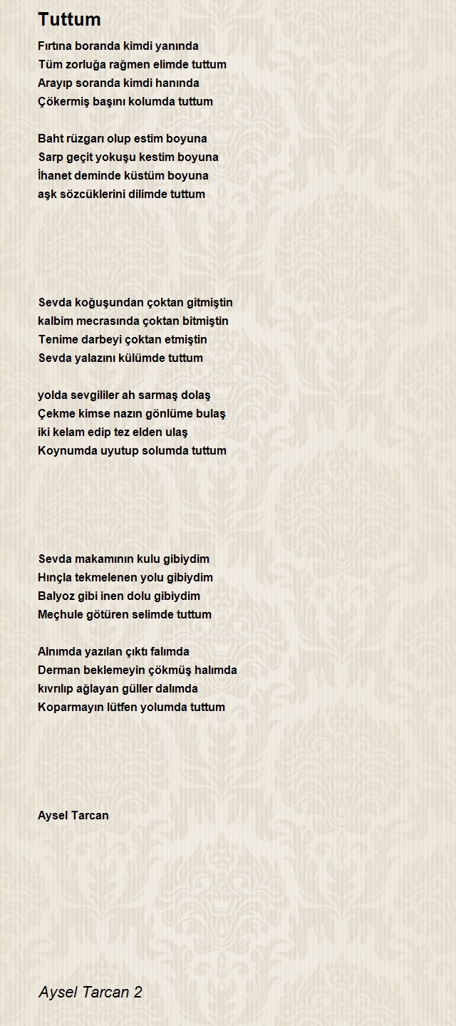 Aysel Tarcan 2