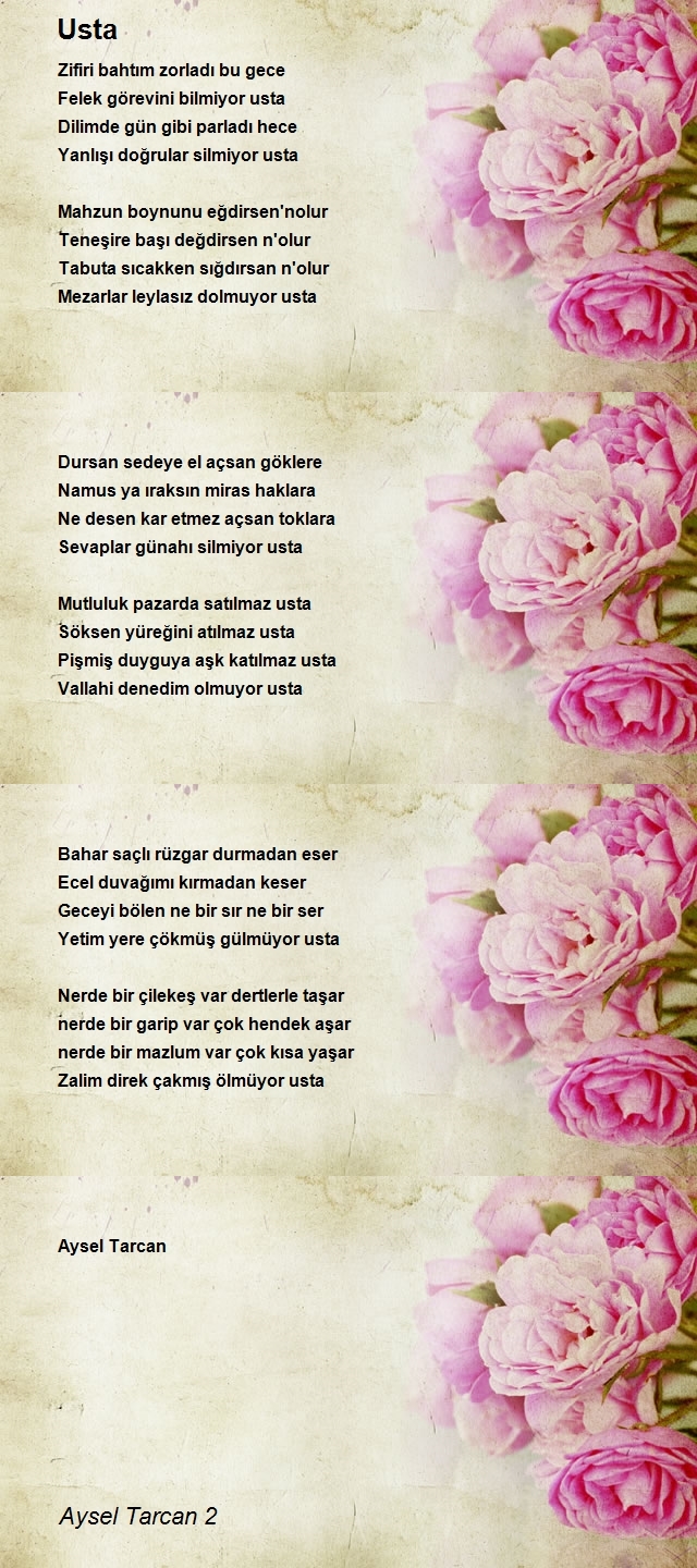 Aysel Tarcan 2