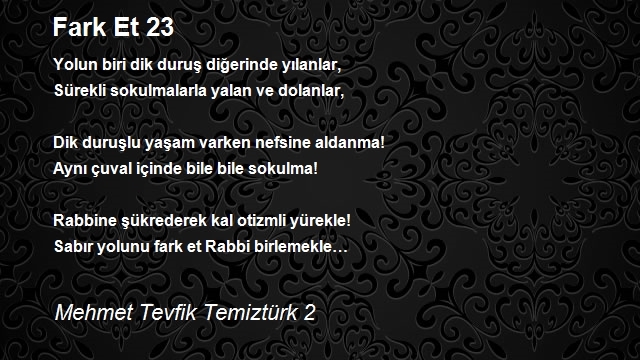 Mehmet Tevfik Temiztürk 2