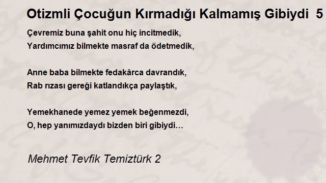 Mehmet Tevfik Temiztürk 2