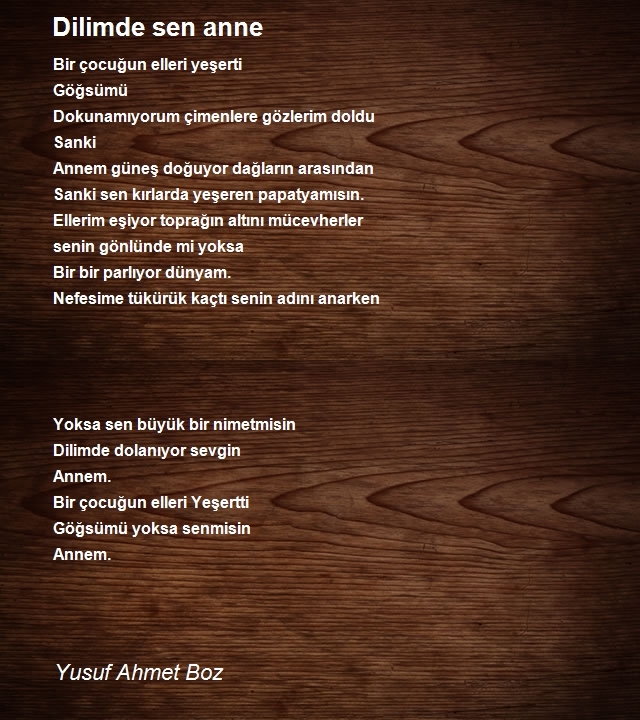 Yusuf Ahmet Boz