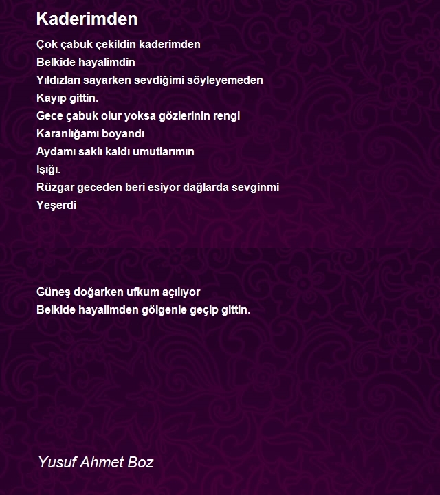 Yusuf Ahmet Boz