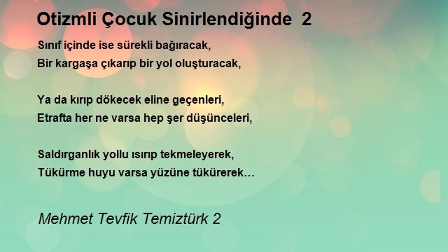 Mehmet Tevfik Temiztürk 2