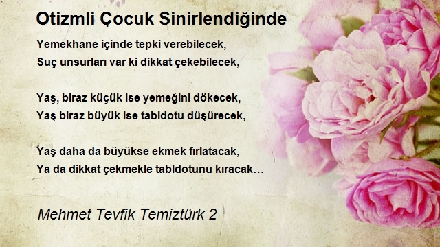 Mehmet Tevfik Temiztürk 2