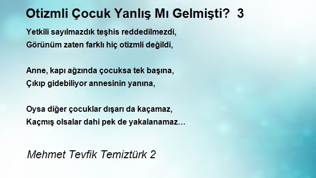 Mehmet Tevfik Temiztürk 2