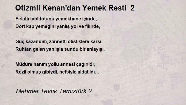 Mehmet Tevfik Temiztürk 2