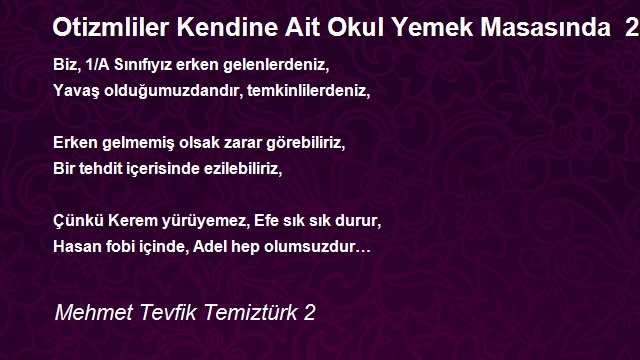 Mehmet Tevfik Temiztürk 2