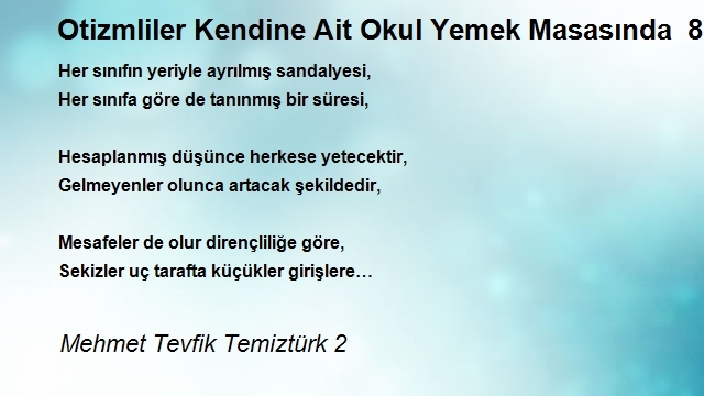 Mehmet Tevfik Temiztürk 2