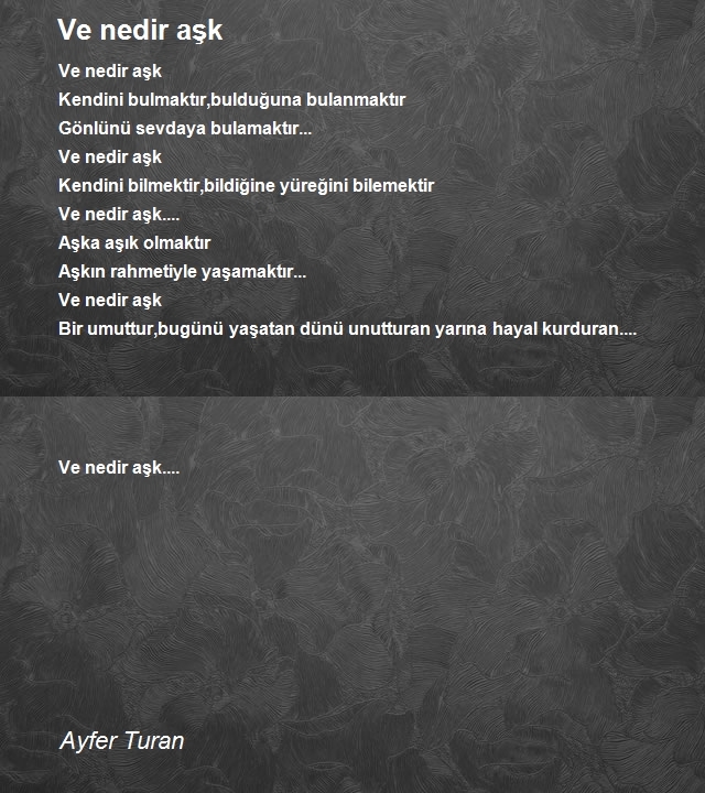 Ayfer Turan