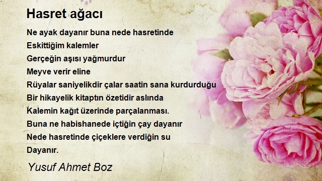 Yusuf Ahmet Boz