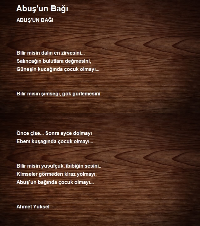 Ahmet Yüksel 3