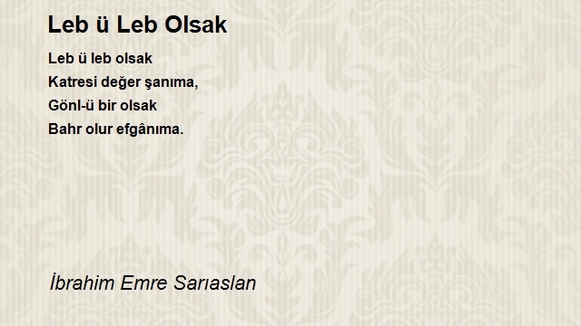 İbrahim Emre Sarıaslan